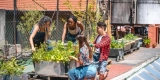 Aufrechterhaltung des Gleichgewichts in einem Ökosystem des Bio -Gartens