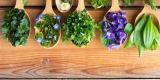 Essbare Pflanzen in das dekorative Gartendesign einbeziehen