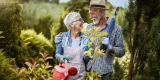 Was sind die besten Praktiken, um Ihren Rücken im Garten zu schützen?