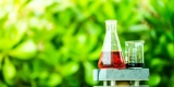 Warum ist es wichtig, Gartenchemikalien sicher aufzubewahren?